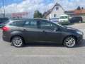 Ford Focus Business Grau - thumbnail 4