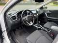 Kia Ceed SW / cee'd SW 1.6 CRDi Mild-Hybrid Silber 48V Lenkradheizung RFK Blanc - thumbnail 9