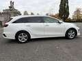 Kia Ceed SW / cee'd SW 1.6 CRDi Mild-Hybrid Silber 48V Lenkradheizung RFK Blanc - thumbnail 7