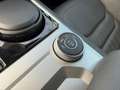 Volkswagen Touareg 3.0TDI Basis 4Motion Luft AHK RKAM Grau - thumbnail 6