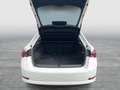 Skoda Octavia Ambition TDI Bianco - thumbnail 17