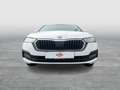 Skoda Octavia Ambition TDI Bianco - thumbnail 5