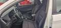 Hyundai TUCSON 1.6 Turbo 2WD Go+*Klima*Navi*AHK* Weiß - thumbnail 11