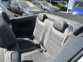 Volkswagen T-Roc Cabrio R-Line 1.5 TSI DSG NAVI KAMERA BEATS BLACK STYLE LED Weiß - thumbnail 9