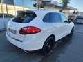 Porsche Cayenne 4.0 S Diesel PARI AL NUOVOp Blanc - thumbnail 15