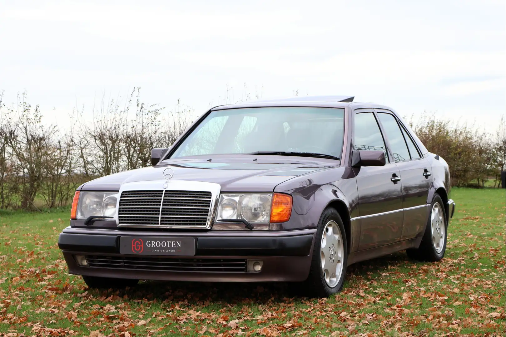 Mercedes-Benz 500 200-500 (W124) E - W124 - Karo - Bornit Metallic Paars - 2