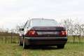 Mercedes-Benz 500 200-500 (W124) E - W124 - Karo - Bornit Metallic Paars - thumbnail 5