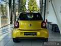 smart forFour forfour Passion+Navi+Pano+Komfort-P.+PDC hinten BC Gelb - thumbnail 6