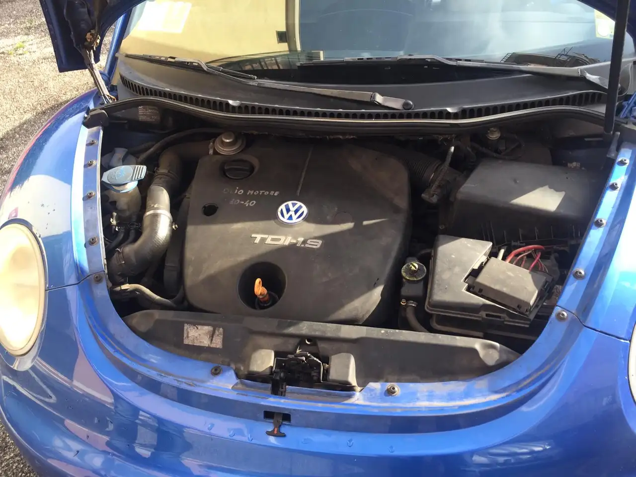 Volkswagen New Beetle, foto 4