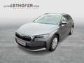 Skoda Octavia Essence TDI Grau - thumbnail 2