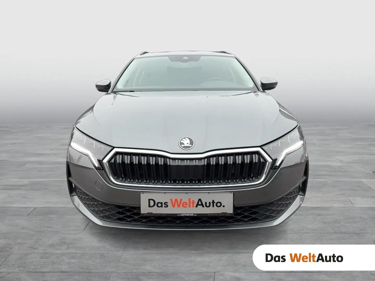 Skoda Octavia Essence TDI Grau - 1