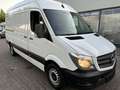 Mercedes-Benz Sprinter 313 CDi Kasten H+Lang Euro5 1.Hand+ Blanc - thumbnail 3