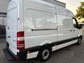 Mercedes-Benz Sprinter 313 CDi Kasten H+Lang Euro5 1.Hand+ Blanc - thumbnail 5