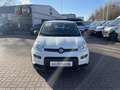 Fiat Panda MY24 1.0 Klima PDC Citypaket Blanc - thumbnail 8