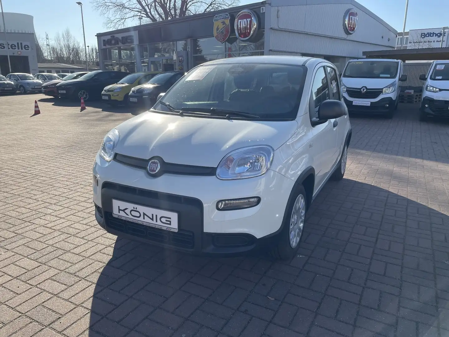 Fiat Panda MY24 1.0 Klima PDC Citypaket Blanc - 1