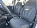 Fiat Panda MY24 1.0 Klima PDC Citypaket Blanc - thumbnail 10