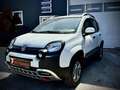Fiat Panda Cross 4x4 Blanc - thumbnail 5