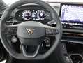 CUPRA Terramar VZ 2.0 TSI 265 PS DSG 4Drive Schwarz - thumbnail 25