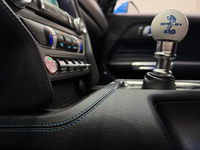 Ford Mustang GT Fastback 5.0V8 ShelbyPack*Recaro-Sitze*Schalter Ansicht 42