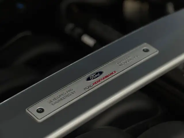 Ford Mustang GT Fastback 5.0V8 ShelbyPack*Recaro-Sitze*Schalter Ansicht 48