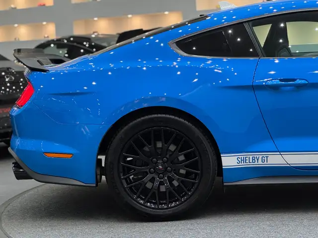 Ford Mustang GT Fastback 5.0V8 ShelbyPack*Recaro-Sitze*Schalter Ansicht 10