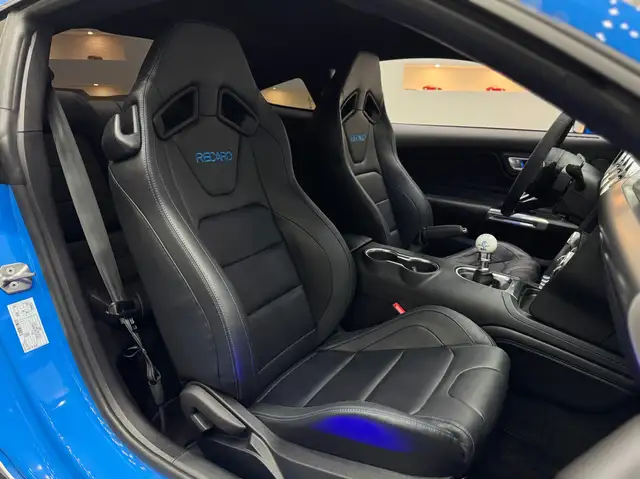 Ford Mustang GT Fastback 5.0V8 ShelbyPack*Recaro-Sitze*Schalter Ansicht 27