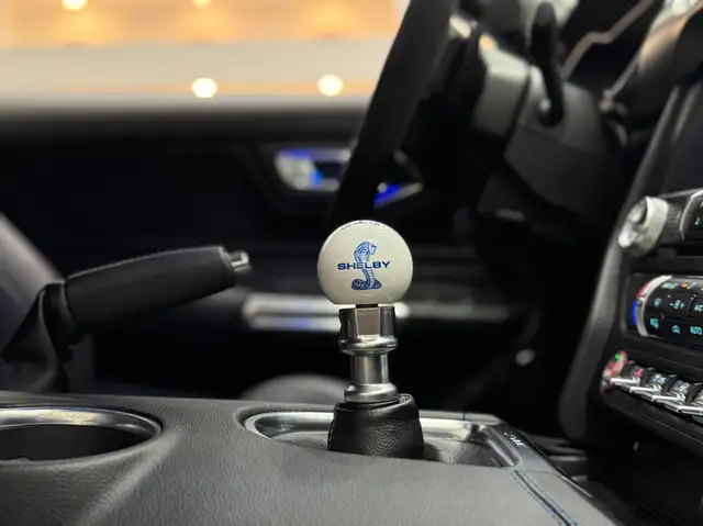 Ford Mustang GT Fastback 5.0V8 ShelbyPack*Recaro-Sitze*Schalter Ansicht 30