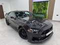 Ford Mustang 5.0 Ti-VCT V8 331KW  GT AT(Fast.) Schwarz - thumbnail 2