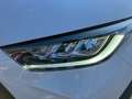 Toyota Yaris - 1,5 l, 116 PS 5-tg. Active Drive Weiß - thumbnail 12