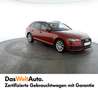Audi A4 40 TDI quattro sport S-tronic Rot - thumbnail 3