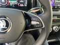 Skoda Kodiaq Selection 2,0TDI 142kW 7-Gang 360 Grad, AHK, CANTO Grau - thumbnail 17