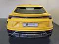 Lamborghini Urus Urus 4.0 Giallo - thumbnail 4