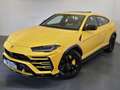 Lamborghini Urus Urus 4.0 Giallo - thumbnail 10