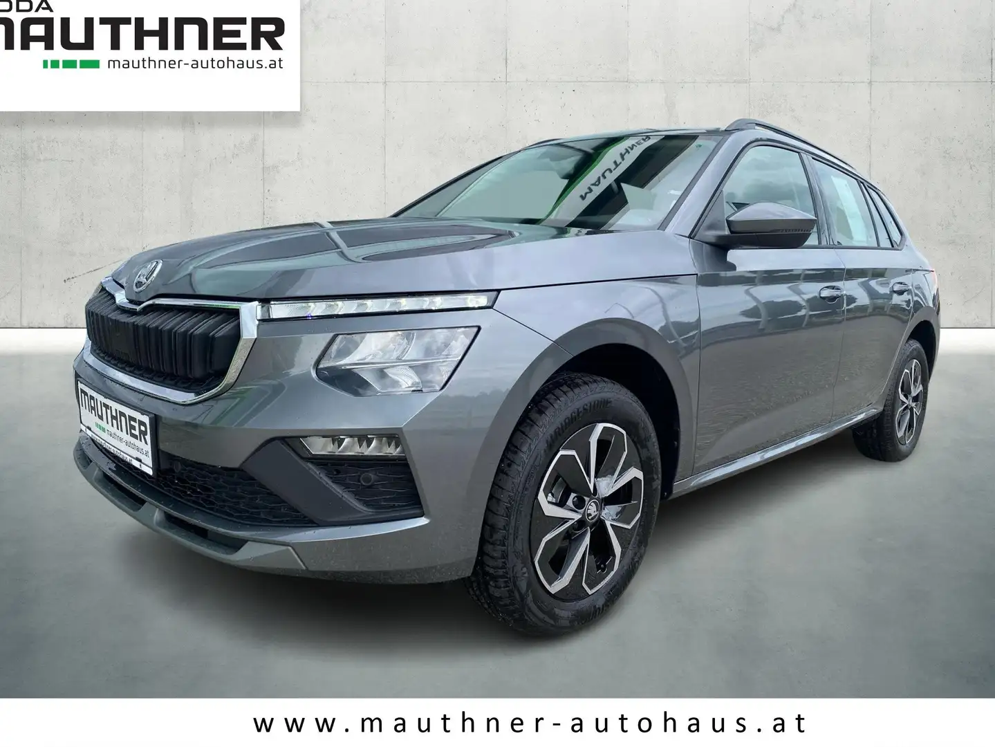 Skoda Kamiq Selection Grau - 1