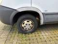 Iveco Bianco - thumbnail 6