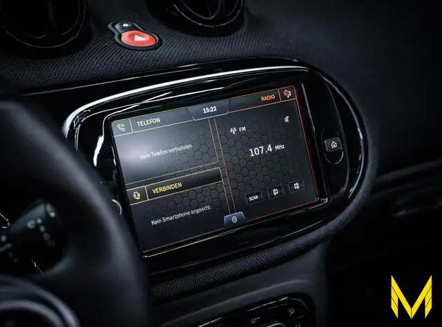 Smart Fortwo view 14