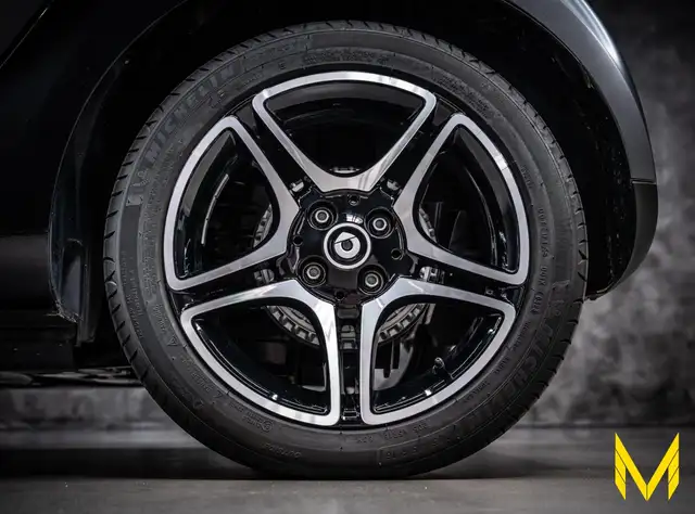 Smart Fortwo view 10