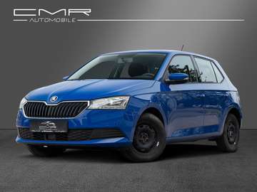 Ambition Apple CarPlay MAXI DOT Tempomat