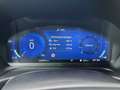 Ford Fiesta ST X Gris - thumbnail 14