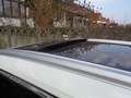 Nissan X-Trail Blanc - thumbnail 12