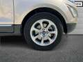 Ford EcoSport 1.5 ecoblue Titanium s&s 100cv my19 Goud - thumbnail 17