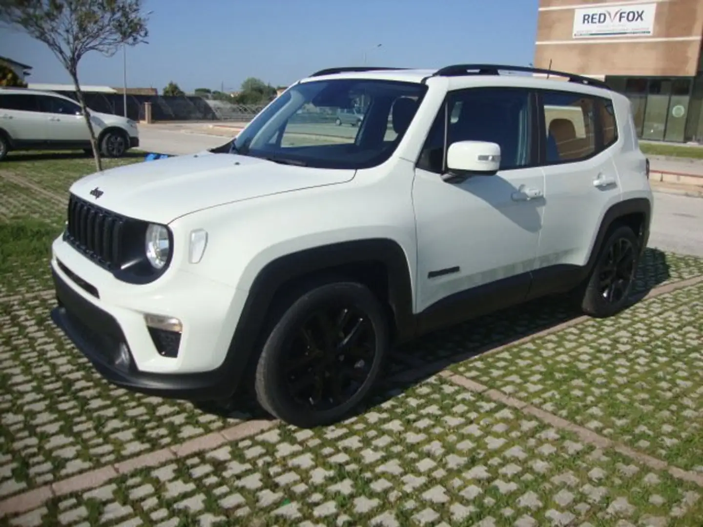 Jeep Renegade Alb - 2
