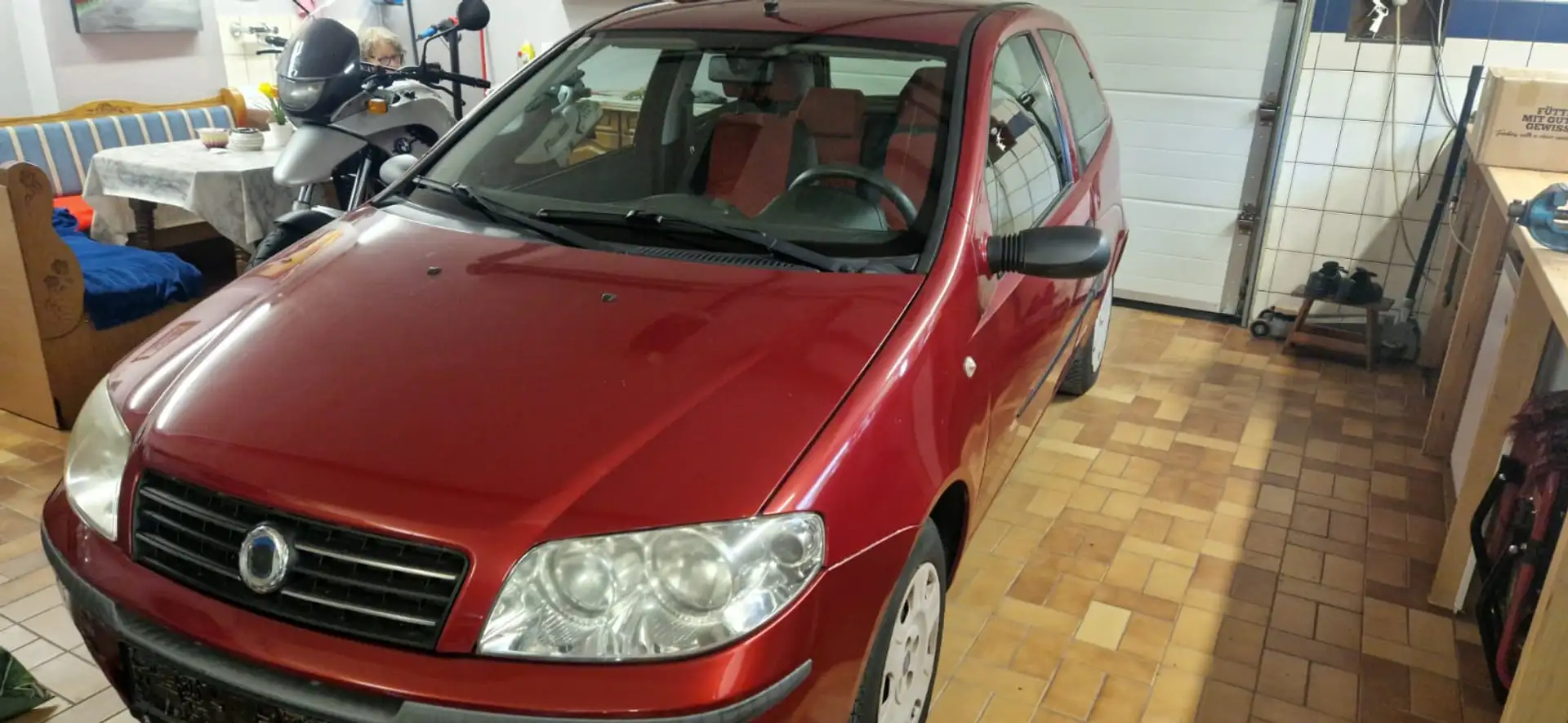 Fiat Punto Punto 1,2 Activ Rot - 1