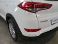 Hyundai TUCSON 1.6 GDI 132 CV COMFORT 2WD Bianco - thumbnail 11