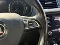 Skoda Octavia Octavia 1.6 TDI CR 115 CV Wagon Executive Bianco - thumbnail 15