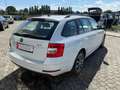 Skoda Octavia Octavia 1.6 TDI CR 115 CV Wagon Executive Bianco - thumbnail 4