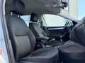 Skoda Octavia Octavia 1.6 TDI CR 115 CV Wagon Executive Bianco - thumbnail 12