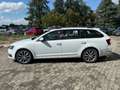Skoda Octavia Octavia 1.6 TDI CR 115 CV Wagon Executive Bianco - thumbnail 6