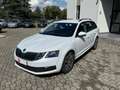 Skoda Octavia Octavia 1.6 TDI CR 115 CV Wagon Executive Bianco - thumbnail 7