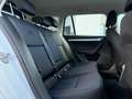 Skoda Octavia Octavia 1.6 TDI CR 115 CV Wagon Executive Bianco - thumbnail 11